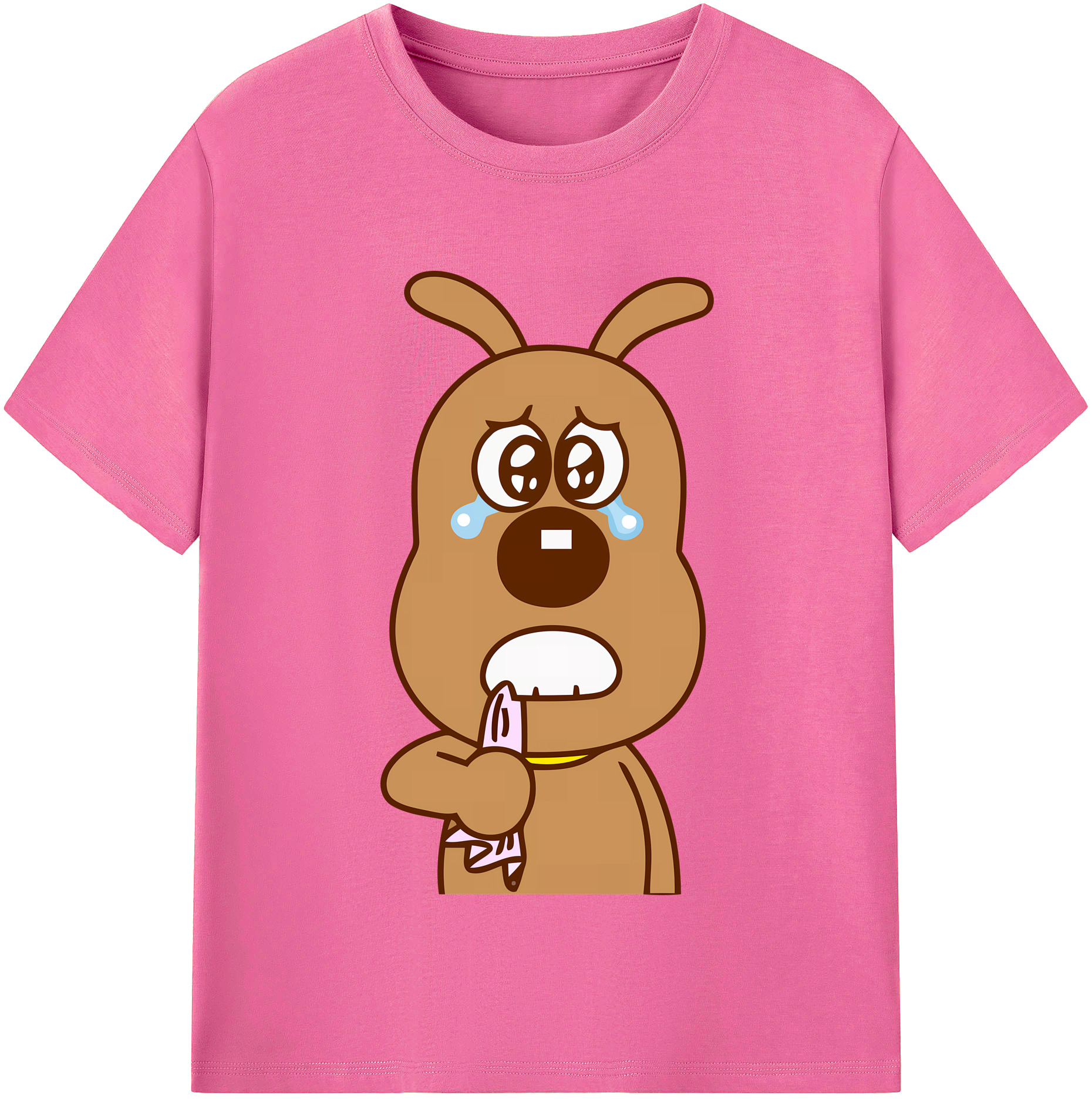 （画像用） アンパンマン Anpanman レディースカジュアルプリントTシャツ（綿100％）